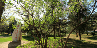 KU酷游官网(中国集团)有限公司