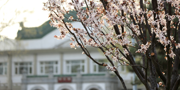 KU酷游官网(中国集团)有限公司