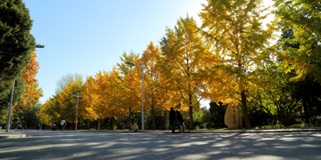 KU酷游官网(中国集团)有限公司