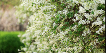 KU酷游官网(中国集团)有限公司