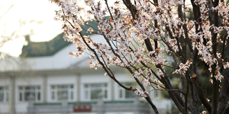 KU酷游官网(中国集团)有限公司