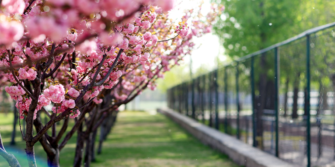 KU酷游官网(中国集团)有限公司