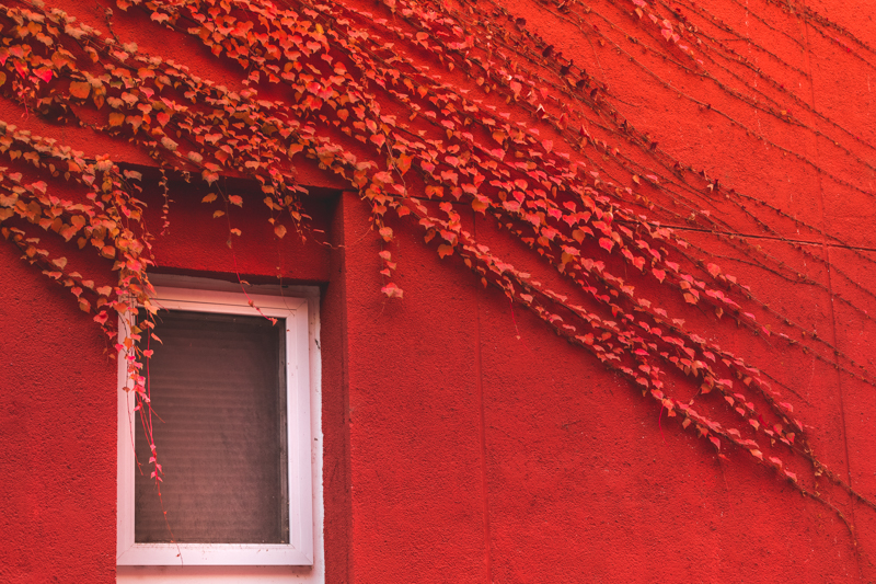 KU酷游官网(中国集团)有限公司