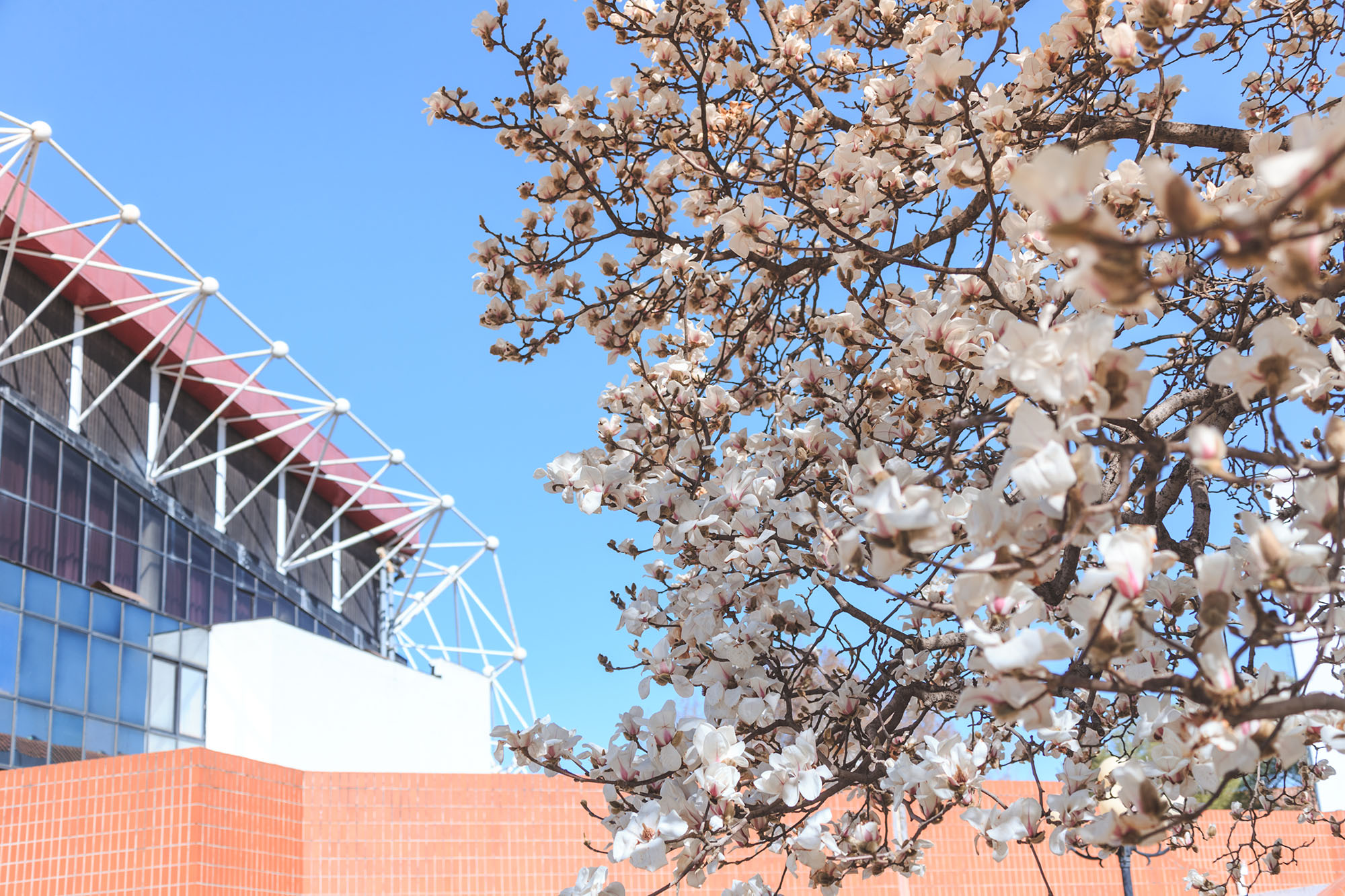 KU酷游官网(中国集团)有限公司